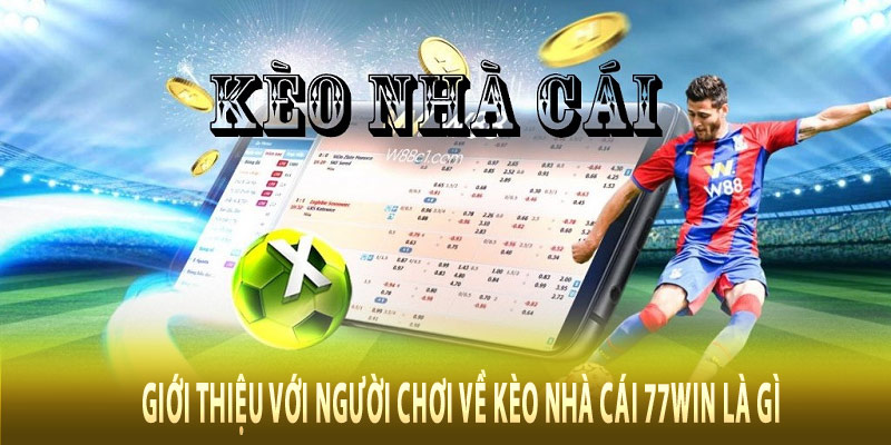 Giới thiệu với người chơi về kèo nhà cái 77win là gì