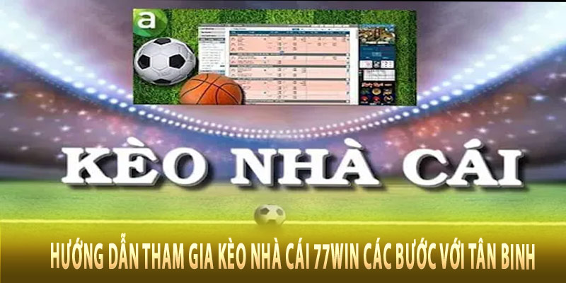 Hướng dẫn tham gia kèo nhà cái 77win các bước với tân binh